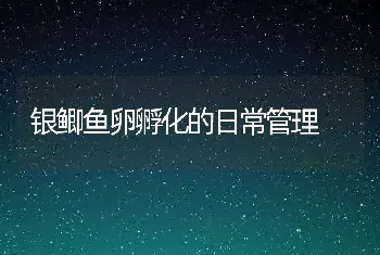 银鲫鱼卵孵化的日常管理