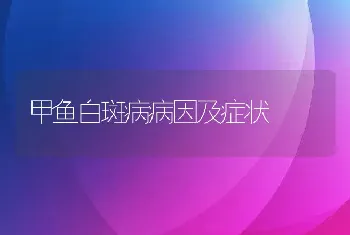 甲鱼白斑病病因及症状