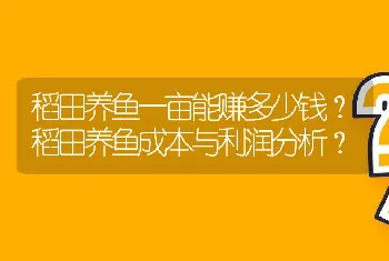 稻田养鱼一亩能赚多少钱？稻田养鱼成本与利润分析？