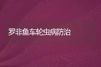 罗非鱼车轮虫病防治