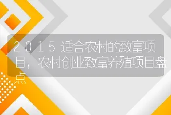 2015适合农村的致富项目，农村创业致富养殖项目盘点