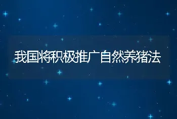 我国将积极推广自然养猪法