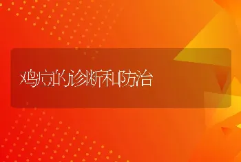 特种野猪养殖成为畜牧业一大亮点