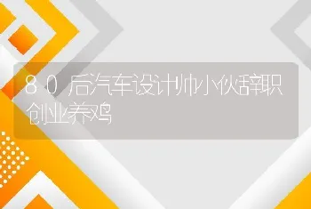 80后汽车设计帅小伙辞职创业养鸡