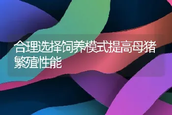 合理选择饲养模式提高母猪繁殖性能