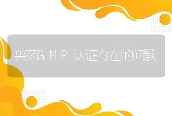 兽药GMP认证存在的问题