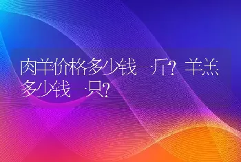 肉羊价格多少钱一斤？羊羔多少钱一只？