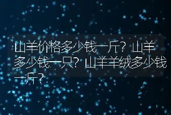 山羊价格多少钱一斤？山羊多少钱一只？山羊羊绒多少钱一斤？