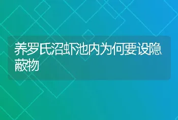 养罗氏沼虾池内为何要设隐蔽物