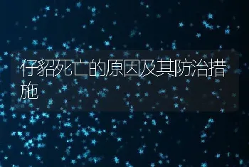 仔貂死亡的原因及其防治措施