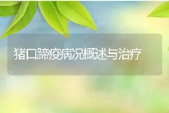 猪口蹄疫病况概述与治疗