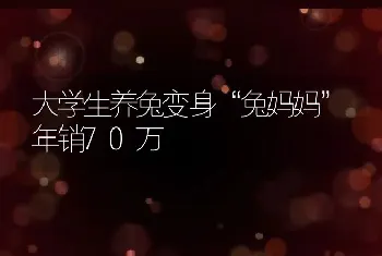 大学生养兔变身“兔妈妈”年销70万