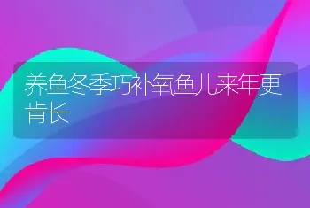 养鱼冬季巧补氧鱼儿来年更肯长