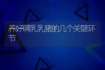 仔猪黄白痢防治新方法