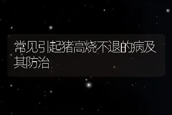 常见引起猪高烧不退的病及其防治