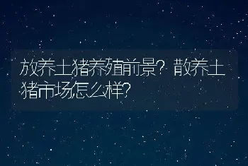 放养土猪养殖前景？散养土猪市场怎么样？