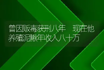 曾因贩毒获刑八年 现在他养殖泥鳅年收入八十万