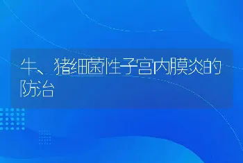 牛、猪细菌性子宫内膜炎的防治