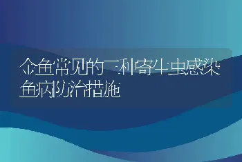 金鱼常见的三种寄生虫感染鱼病防治措施