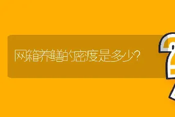 网箱养鳝的密度是多少？