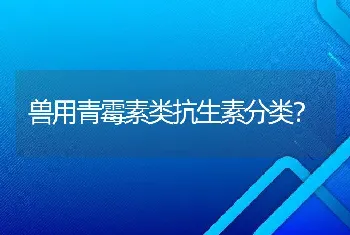 兽用青霉素类抗生素分类？