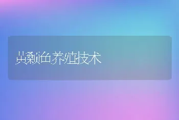 黄颡鱼养殖技术