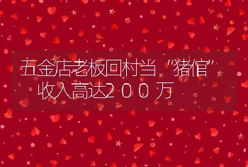 五金店老板回村当“猪倌” 收入高达200万