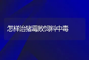 怎样治猪霉败饲料中毒