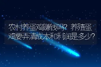 农村养蛋鸡赚钱吗？养殖蛋鸡要弄清成本和利润是多少？