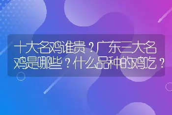 十大名鸡谁贵？广东三大名鸡是哪些？什么品种的鸡吃？