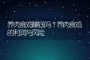 养肉食鸡赚钱吗？养肉食鸡的利润与风险