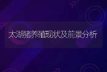 太湖猪养殖现状及前景分析