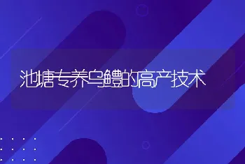 池塘专养乌鳢的高产技术