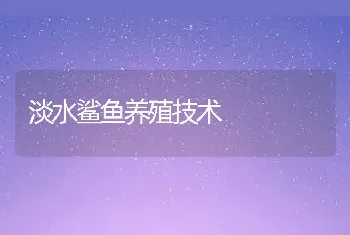 淡水鲨鱼养殖技术