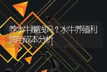 养水牛赚钱吗？水牛养殖利润与成本分析