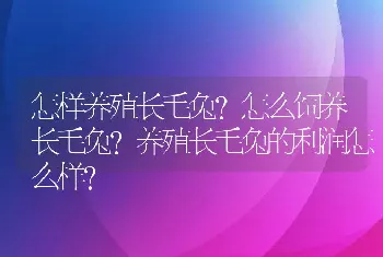 怎样养殖长毛兔？怎么饲养长毛兔？养殖长毛兔的利润怎么样？