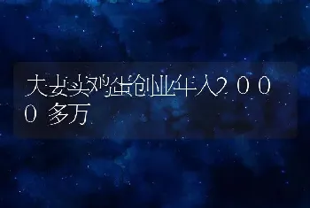 夫妻卖鸡蛋创业年入2000多万