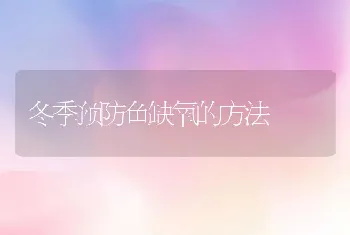 冬季预防鱼缺氧的方法