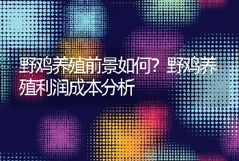 野鸡养殖前景如何？野鸡养殖利润成本分析