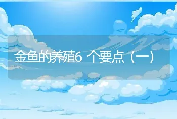 金鱼的养殖6个要点（一）