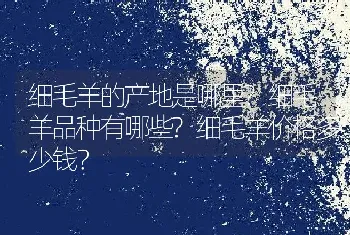 细毛羊的产地是哪里?细毛羊品种有哪些?细毛羊价格多少钱？