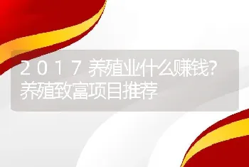 2017养殖业什么赚钱？养殖致富项目推荐