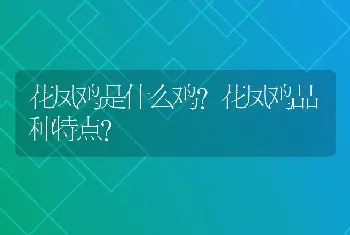 花凤鸡是什么鸡？花凤鸡品种特点？