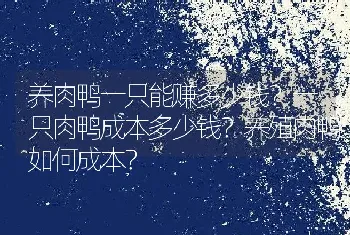 养肉鸭一只能赚多少钱？一只肉鸭成本多少钱？养殖肉鸭如何成本？