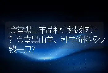 金堂黑山羊品种介绍及图片？金堂黑山羊、种羊价格多少钱一只？