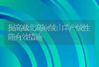 提高藏北高原绒山羊产绒性能有效措施