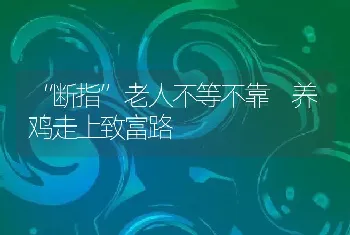 “断指”老人不等不靠 养鸡走上致富路