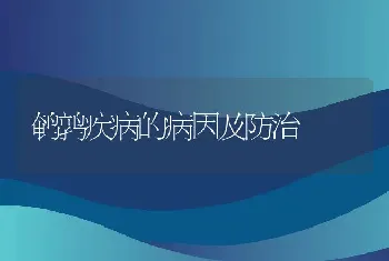 鹌鹑疾病的病因及防治