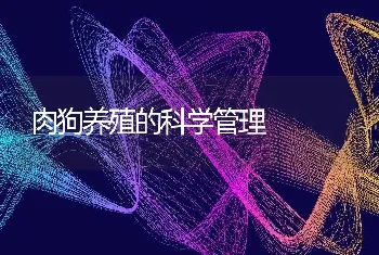 肉狗养殖的科学管理