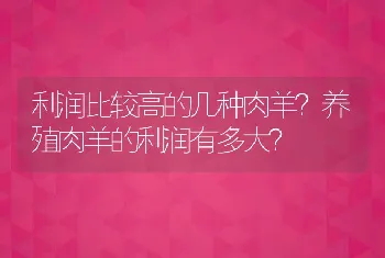 利润比较高的几种肉羊？养殖肉羊的利润有多大？